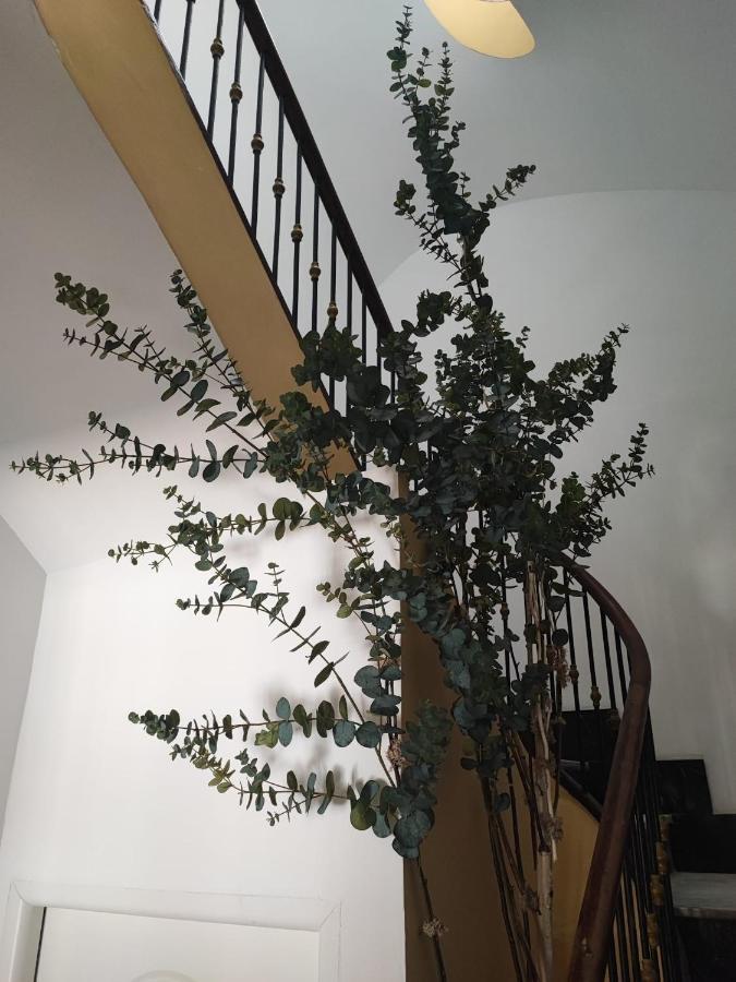 Apartamento Albarino 23 Novelda Bagian luar foto